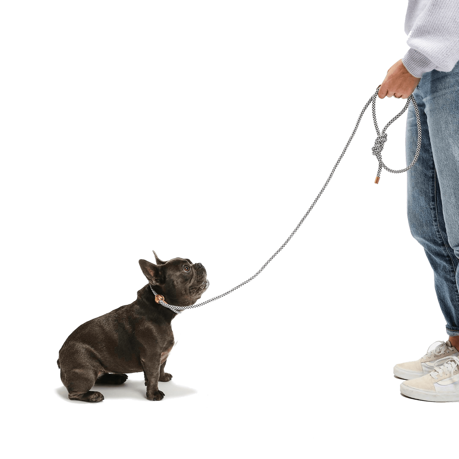 Simple Slip Lead - THE BOXER