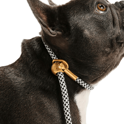 Simple Slip Lead - THE BOXER