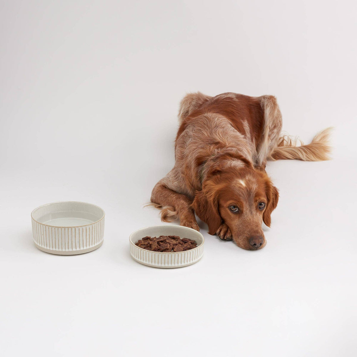 White Scalloped Stoneware Bowl - THE BOXER